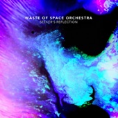 Waste of Space Orchestra - Seeker's Reflection