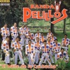 Banda Pelillos