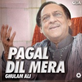 Pagal Dil Mera artwork