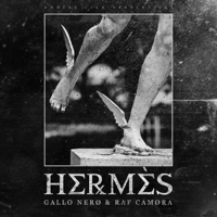 Gallo Nero & Raf Camora - Hermès artwork