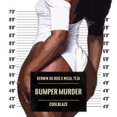 Bumper Murder artwork