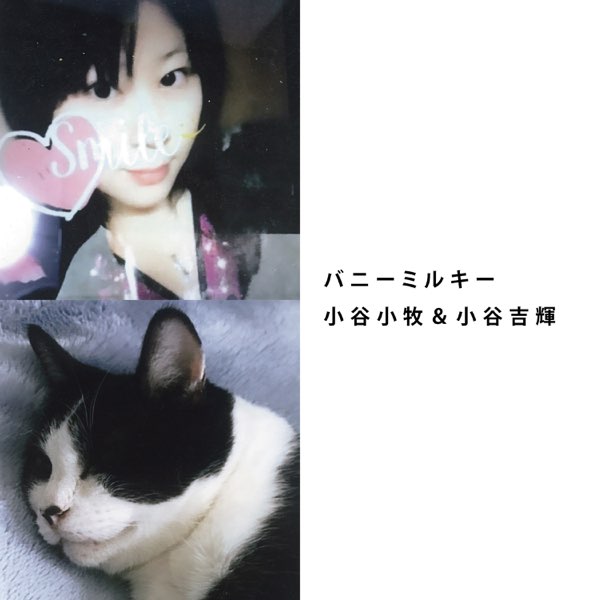 バニーミルキー Single De 小谷小牧 小谷吉輝 En Apple Music