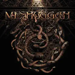 The Ophidian Trek (Live) - Meshuggah