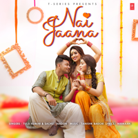 Tulsi Kumar & Sachet Tandon - Nai Jaana - Single artwork