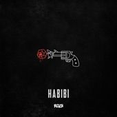HABIBI artwork