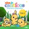 Las Mañanitas - Canticos lyrics