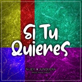 Si Tu Quieres (feat. Junquera) artwork