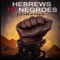 Hebrews to Negroes artwork