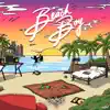 Stream & download Beach Boy (feat. Paul Couture) - Single