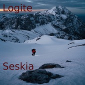 Logite - EP artwork