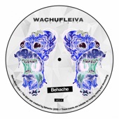 Wachufleiva 14-4 artwork