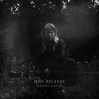 Ilse DeLange - Some Things You Don't Forget artwork