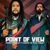 Point of View (feat. Damian "Jr. Gong" Marley) - Single album lyrics, reviews, download