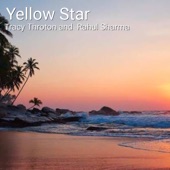 Yellow Star artwork