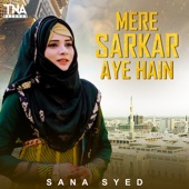 Mere Sarkar Aye Hain artwork