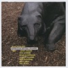 Sean Wayland - In Colour