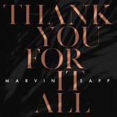 Thank You for It All artwork