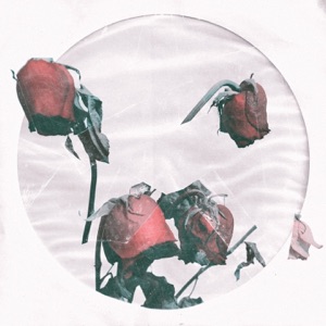 Молодость пахнет розами - Single
