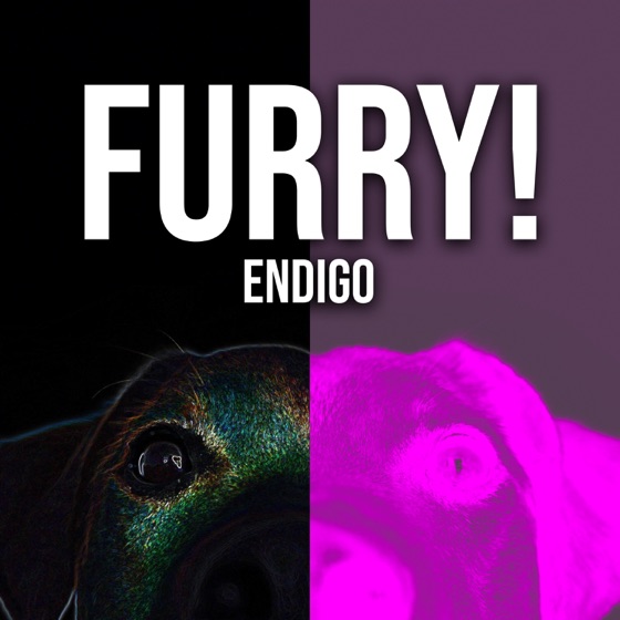 Cover artwork for Furry!