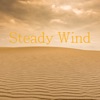 Steady Wind, 2019