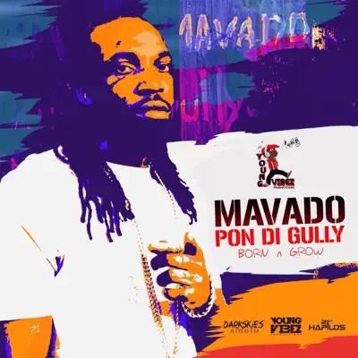 Pon Di Gully (Born & Grow) - Single - Mavado