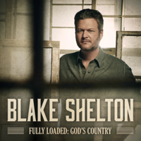 Blake Shelton - I'll Name the Dogs artwork