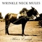 Big Dipper - Wrinkle Neck Mules lyrics