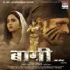 Mere Siva Tujhe Koi Dekhe To (From "Bhagi") - Single album lyrics, reviews, download