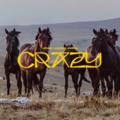 Crazy (Edit) artwork