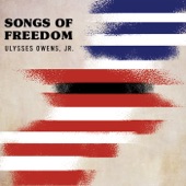 Freedom Day (feat. Joanna Majoko) artwork