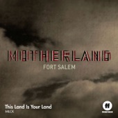 This Land Is Your Land (for "Motherland") artwork