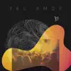 Teu Amor - Single album lyrics, reviews, download