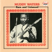 Muddy Waters - Let Me Hang Around