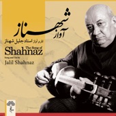 The Song of Shahnaz artwork