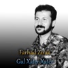 Farhad Zirak - Wshay Xoshi