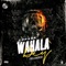 Wahala DEY (Reloaded) - TopAge lyrics