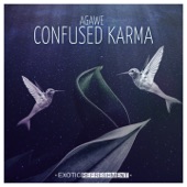 Confused Karma (Ian Ludvig Remix) artwork