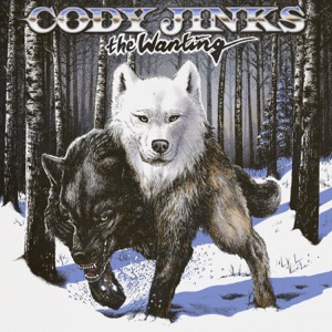 Cody Jinks - The Wanting - 排舞 音乐
