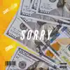 Sorry. (feat. IshDARR) - Single album lyrics, reviews, download