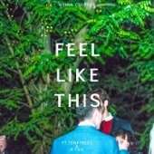 Feel Like This (feat. Temptress & D.Tail) artwork