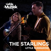 Little Submarine (Live Uit Liefde Voor Muziek) artwork