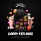 Carry Feelings artwork