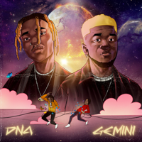 DNA - Gemini - EP artwork