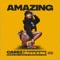 Amazing (feat. Shankcantrap & Tina B) - Carez lyrics