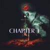 Chapter 1