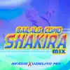 Stream & download Bailalo Como Shakira Mix - Single