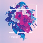 Blackbird Blackbird - Tear