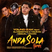 Anda Sola (feat. Clandestino & Yailemm & Osquel & Amaro) [Remix] artwork