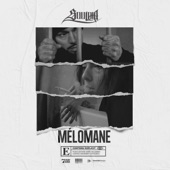 Mélomane artwork