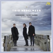 Piano Trio No. 2 in E Minor, Op. 92: I. Allegro non troppo artwork